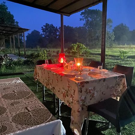 Wildlife Retreat Hotel Tala  Bagian luar foto